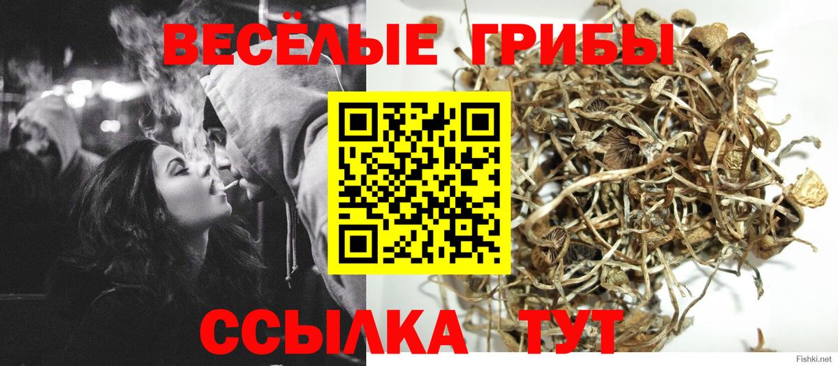 Галлюциногенные грибы ЛСД Советская Гавань