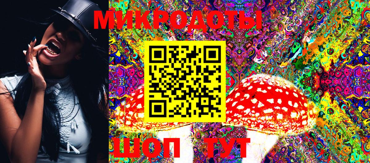 Галлюциногенные грибы Psilocybine cubensis  Вход с VPN  Советская Гавань 